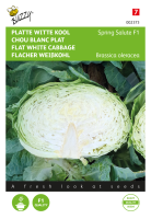 Buzzy seeds Platte Witte Kool Spring Salute F1   Snelle Oogst   Ziekteresistent