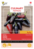 Buzzy seeds Culinary Peppers Fresno Red   Milde tot Medium Peper   Fruitig