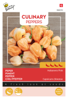 Buzzy seeds Culinary Peppers Habanero Pink   Zeer Hete Peper   Unieke Kleur