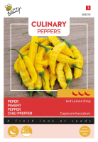 Buzzy seeds Culinary Peppers Hot Lemon Drop Aji   Citrusachtige Peper   Peruaans Ras