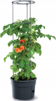 Prosperplast Tomato Grower Tomatenpot   Antraciet   Ø 29,5 cm   12 Liter