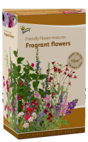 Buzzy seeds Friendly Flowers Strooidoos   Geurende Bloemenmix   15 m²