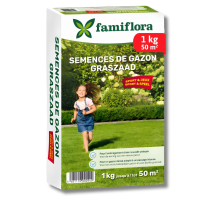 Famiflora graszaad 1kg tot 50m²   Speel & Sport   voor aanleg nieuw gazon   1kg tot 50m²