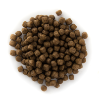 Alltech Coppens Grower Koivoer   6mm   15 KG   Drijvend