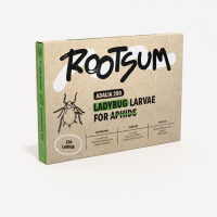 Rootsum Adalia   200 larven van het lieveheersbeestje   tegen bladluizen
