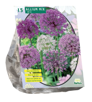 Baltus 'Allium paars wit'   voorjaarsbloeiers   Mix paars wit   15 bollen