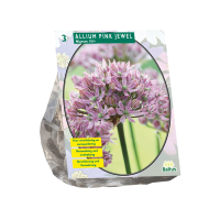 Baltus sierui 'Allium Pink Jewel'   Roze   voorjaarsbloeiers   3 bloembollen