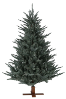 Arkansas Frosted Blue kunstkerstboom   213 cm   Blauw   Diameter 142 cm   2846 tips   Houten voet