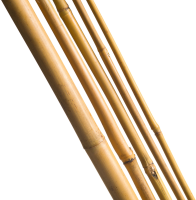 Nature bamboestok   hoogte 90cm   Diameter 8 10 mm   set van 7