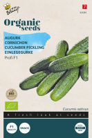Buzzy seeds Bio Augurk zaden   Profi