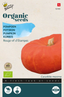 Buzzy seeds Bio Pompoen zaden   Etampes