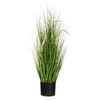 Atmosphera siergras groen H100cm