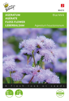 Buzzy   Ageratum zaden   Blue Mink