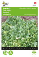 Buzzy seeds Andijvie zaden   Breedblad Volhart Winter