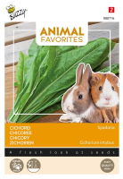 Buzzy seeds Animal Favorites Cichorei voor Konijn en Cavia