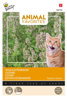 Buzzy® Kattenkruid zaden