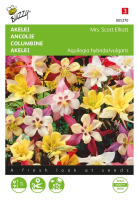 Buzzy seeds   Akelei zaden   Mrs. Scott Elliott