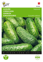 Buzzy seeds Augurk zaden   National Kleine Groene