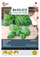 Buzzy seeds Basilicum zaden   a foglia di lattuga