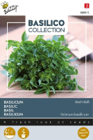 Buzzy seeds Basilicumzaden 'Greek Basil Bush Ball'   very fine leaved