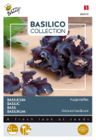Buzzy seeds Basilicum zaden   Purple Ruffles