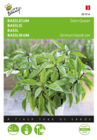 Buzzy seeds Basilicum zaden   Siam Queen   Thaise basilicum met paarse bloemen
