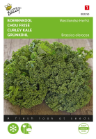 Buzzy seeds Boerenkool zaden   Westlandse Herfst
