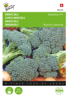 Buzzy seeds Broccoli zaden   Marathon F1