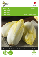 Buzzy seeds Witlof zaden   Brusselse Zoom F1
