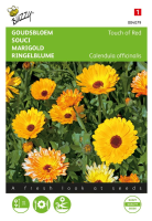 Buzzy seeds Goudsbloem zaden   Touch of Red   gemengd