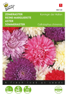 Buzzy seeds Zomeraster zaden   Koningin der Hallen   gemengd