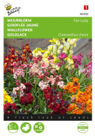 Buzzy seeds Muurbloem zaden   Fair Lady   gemengd