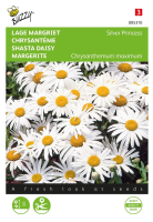 Buzzy seeds Lage Margriet zaden   Silver Princess