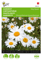 Buzzy seeds Margriet zaden   May Queen