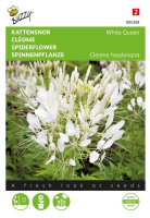 Buzzy seeds   bloemzaden   Cleome, Kattensnor White Queen