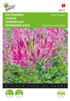 Buzzy® Kattensnor zaden   Rose Queen