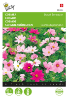 Buzzy® Cosmos zaden   Sonata   gemengd