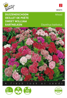 Buzzy® Duizendschoon zaden   Dubbelbloemig   gemengd