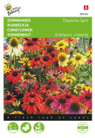 Buzzy® Zonnehoed zaden   Echinacea purpure Cheyenne Spirit