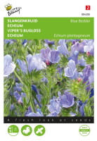Buzzy® Slangenkruid zaden   Blue Bedder