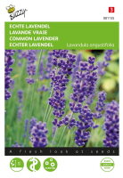 Buzzy seeds Echte Lavendel zaden