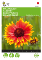 Buzzy® Kokardebloem zaden