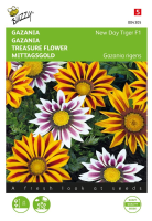 Buzzy® Gazania zaden   Splendens Tiger F1 Mixture