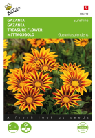 Buzzy® Gazania zaden   Sunshine   gemengd