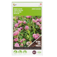 Buzzy seeds Groenbemester   Rode Klaver    150g