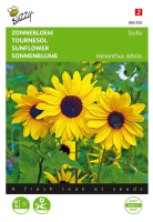 Buzzy seeds Zonnebloem zaden   Stella kleinbloemige   geel