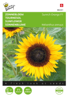 Buzzy® Zonnebloem zaden   Sunrich Orange