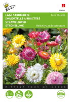 Buzzy seeds Lage Strobloem zaden   Tom Thumb   gemengd