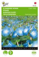 Buzzy seeds Klimmende winde zaden   Clark's Blue