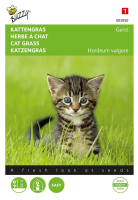 Buzzy® Kattengras zaden   Gerst